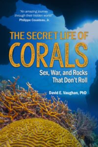 The Secret Life of Corals Book Cover